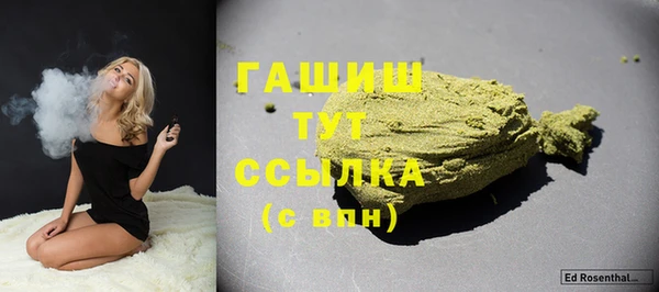 дмт Каменка