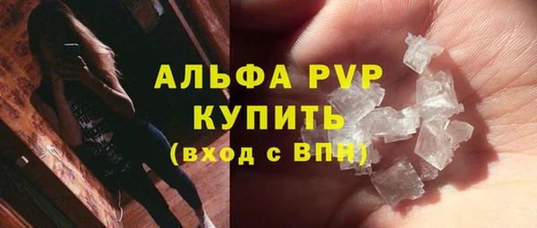 дмт Каменка