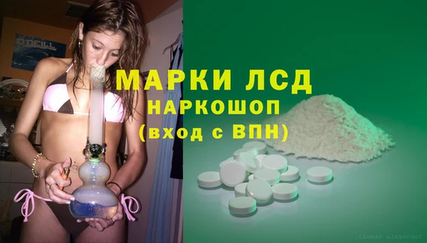 герыч Каменногорск