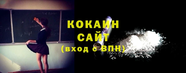 сатива Каменск-Шахтинский