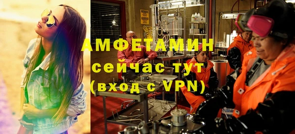 дмт Каменка
