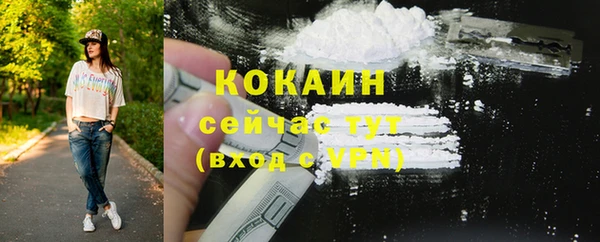 дмт Каменка