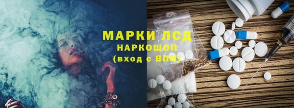 дмт Каменка