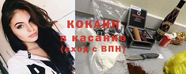 гидра Касимов