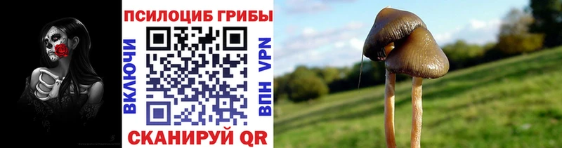 Галлюциногенные грибы мухоморы  Инсар 